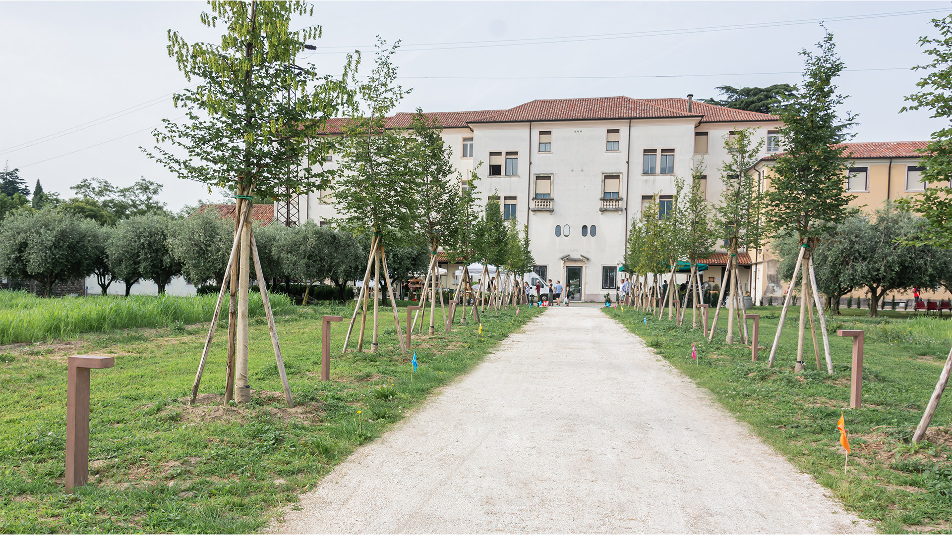 Abbiamo intrecciato luce e ambiente!